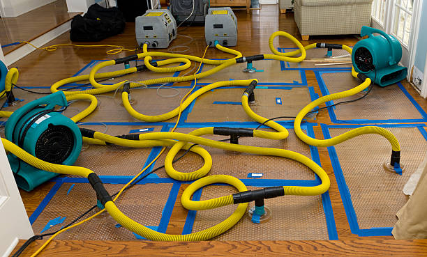 Professional Water Damage Restoration technician working in Worden, IL